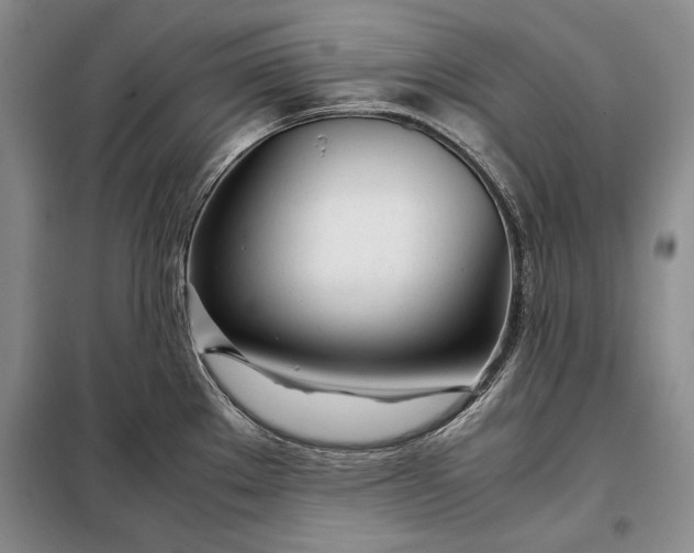 X0000098121289200804181510