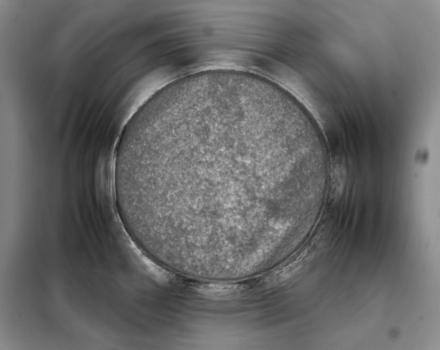 X0000098121290200804181510