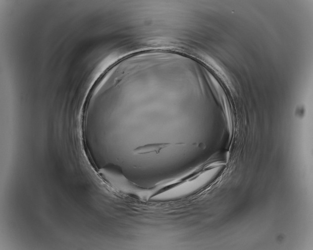 X0000098121291200804181510