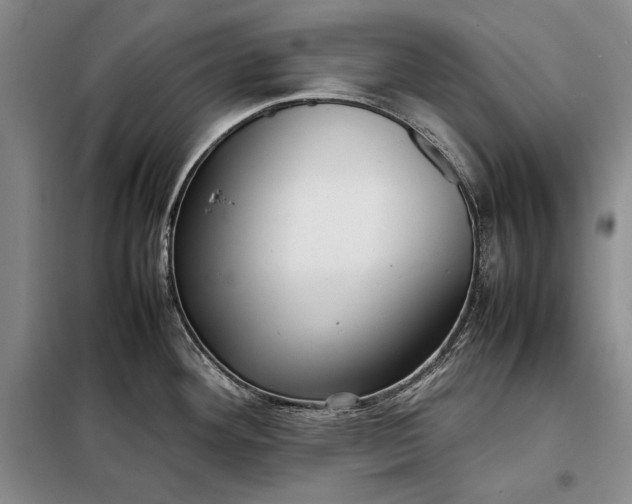X0000098121292200804181510