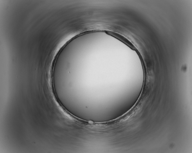 X0000098121293200804181510