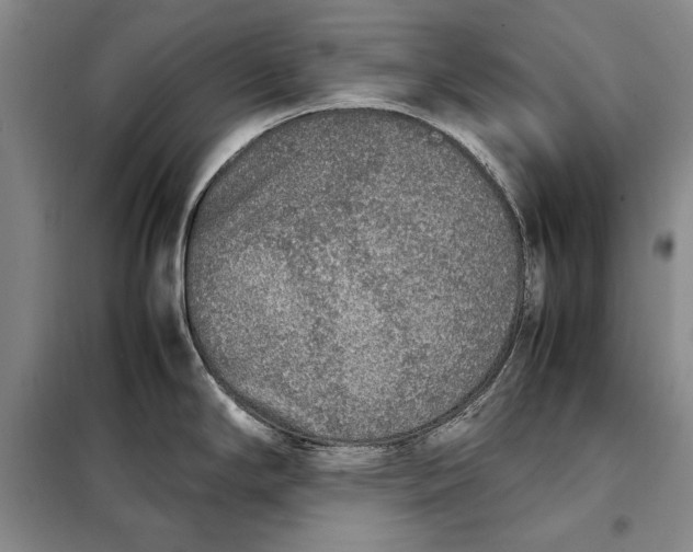 X0000098121294200804181510