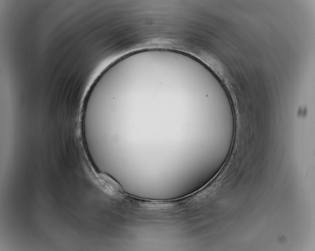 X0000098121296200804181510
