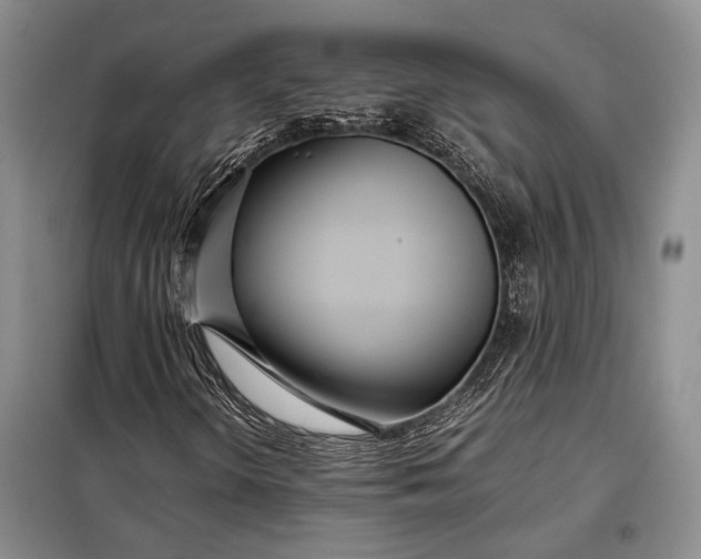 X0000098121298200804181509