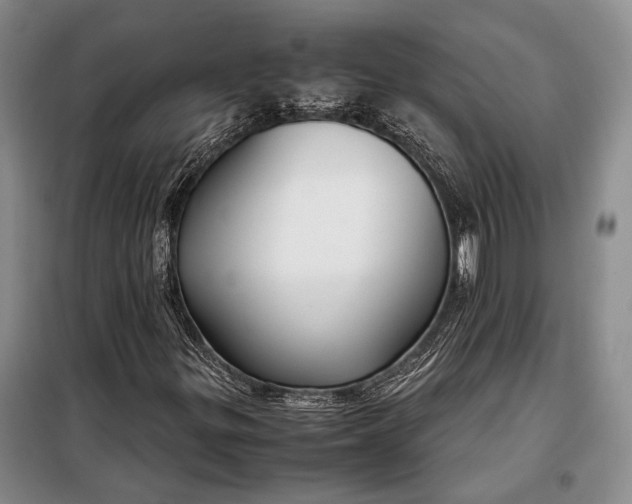X0000098121299200804181509