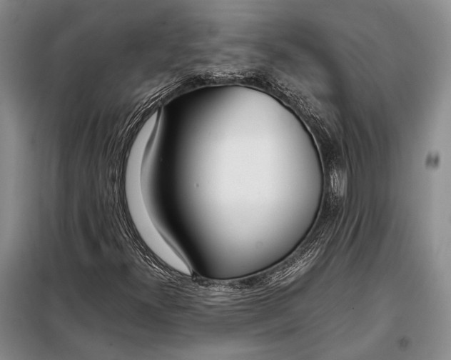 X0000098121300200804181509
