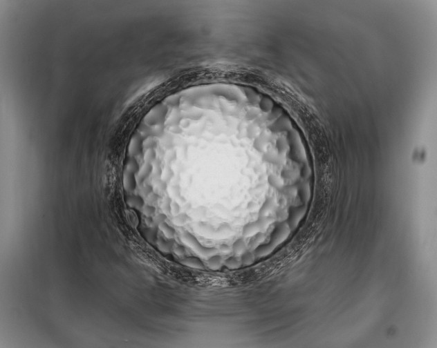 X0000098121302200804181509