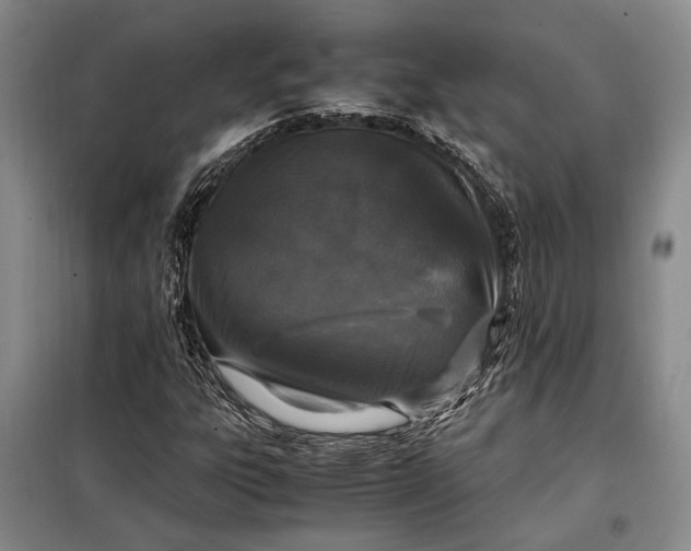 X0000098121303200804181509