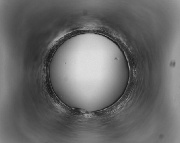 X0000098121304200804181509