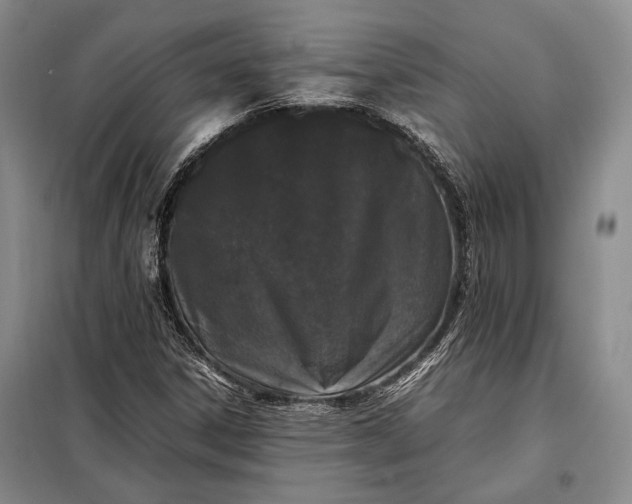 X0000098121306200804181509