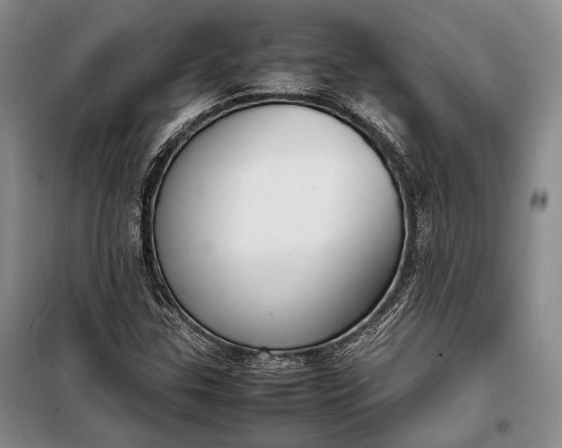 X0000098121307200804181509