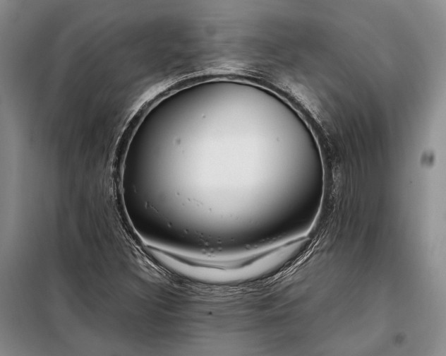 X0000098121308200804181509