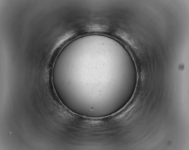 X0000098121309200804181509