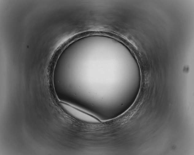 X0000098121311200804181509