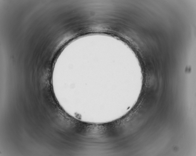 X0000098121314200804181509