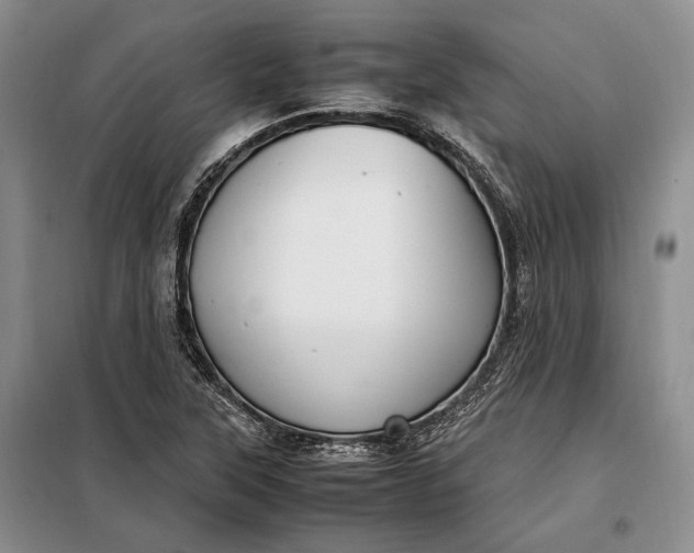 X0000098121315200804181509