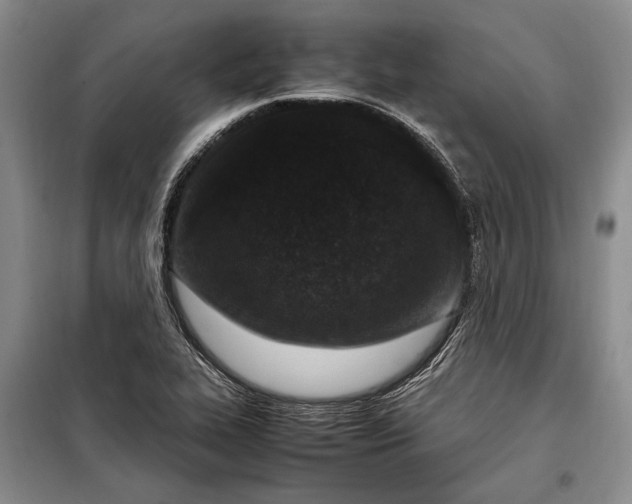 X0000098121319200804181509