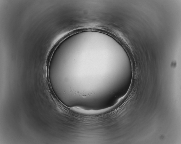 X0000098121320200804181509