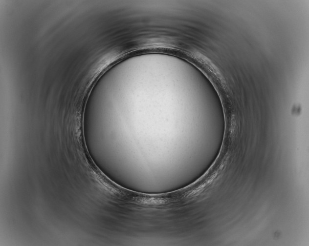 X0000098121321200804181509