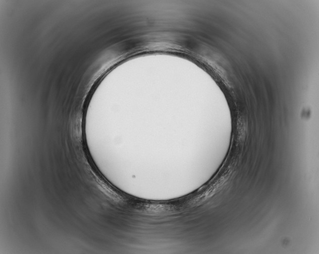X0000098121322200804181509