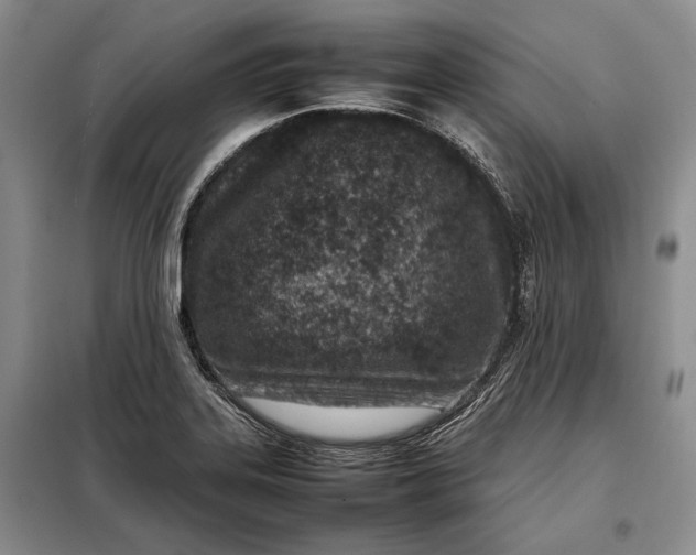 X0000098121323200804181509