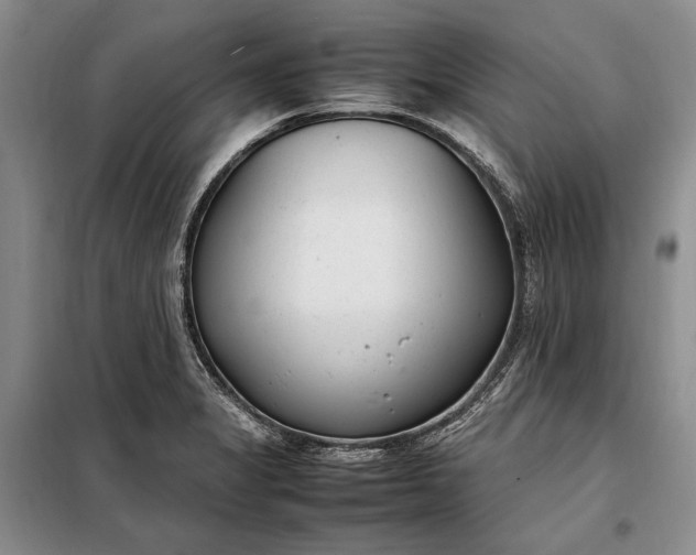 X0000098121325200804181509