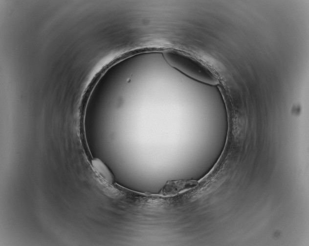 X0000098121326200804181509