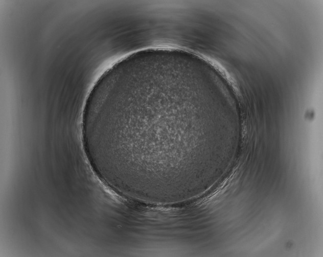 X0000098121327200804181509