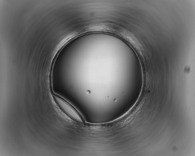 X0000098121330200804181509