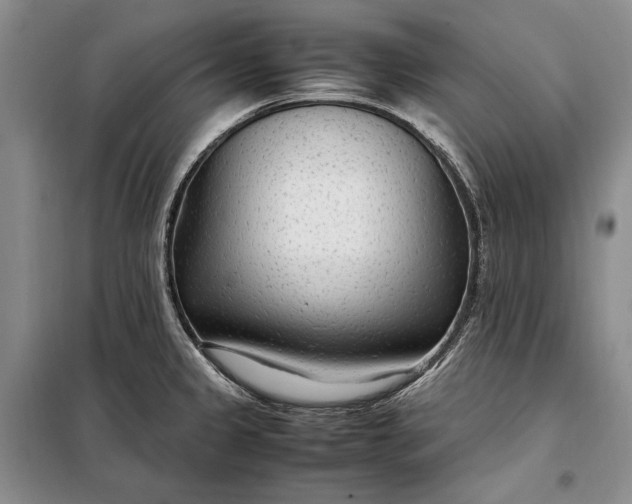 X0000098121333200804181509