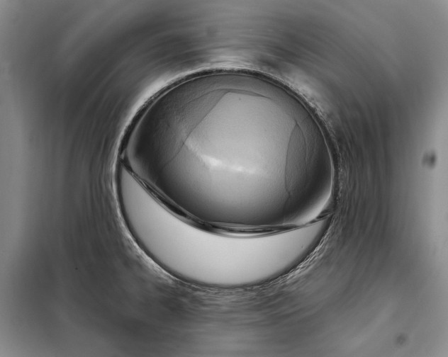 X0000098121334200804181509