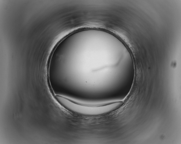 X0000098121335200804181510