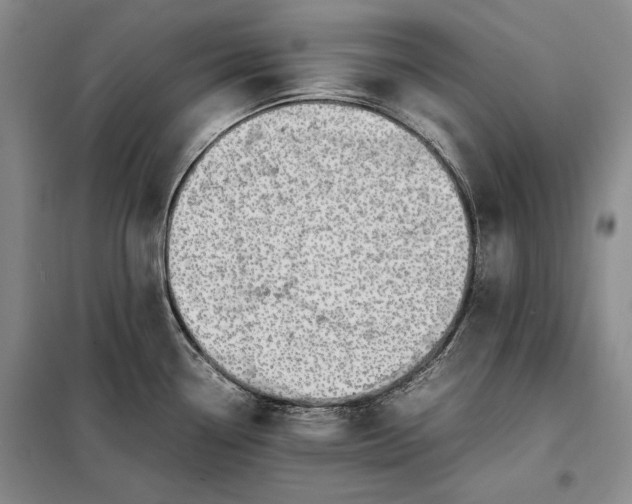 X0000098121338200804181510