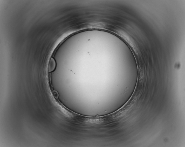 X0000098121339200804181510