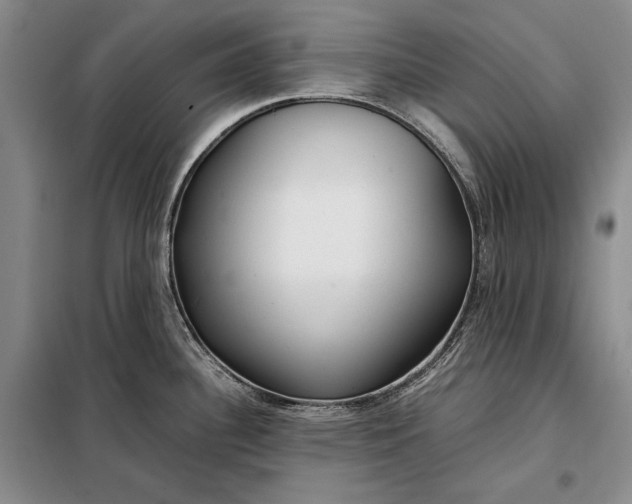 X0000098121340200804181510