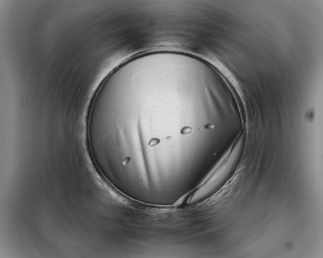 X0000098121341200804181510