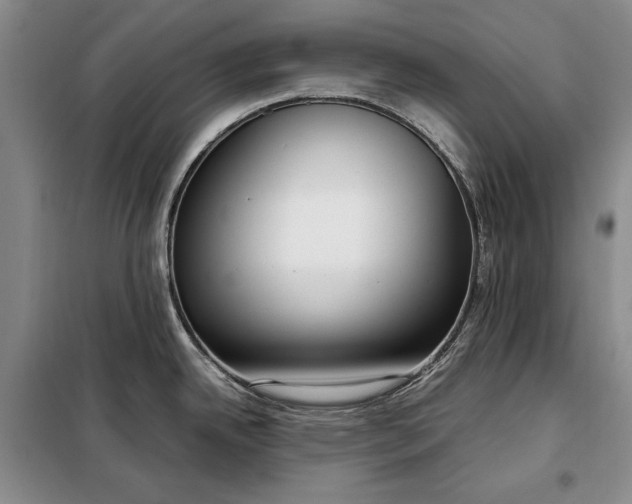X0000098121342200804181510