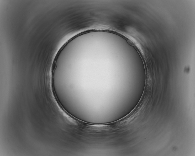 X0000098121343200804181510