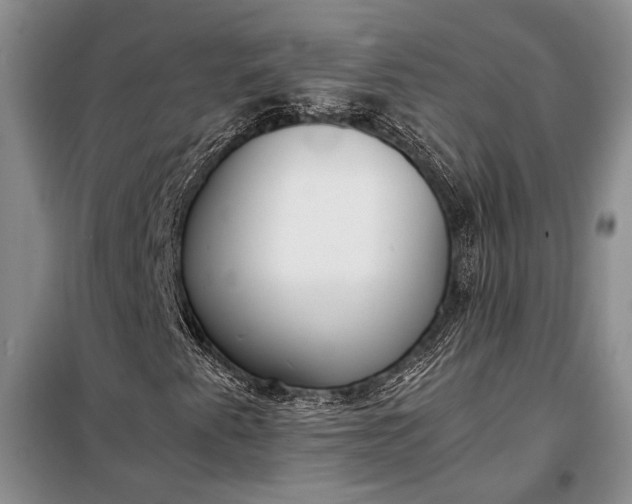 X0000098121345200804181509