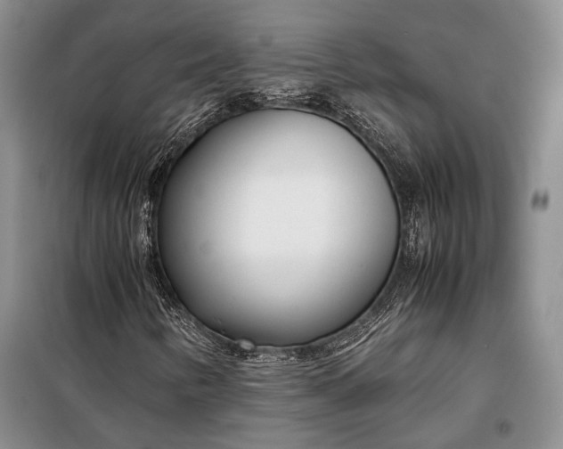 X0000098121346200804181509