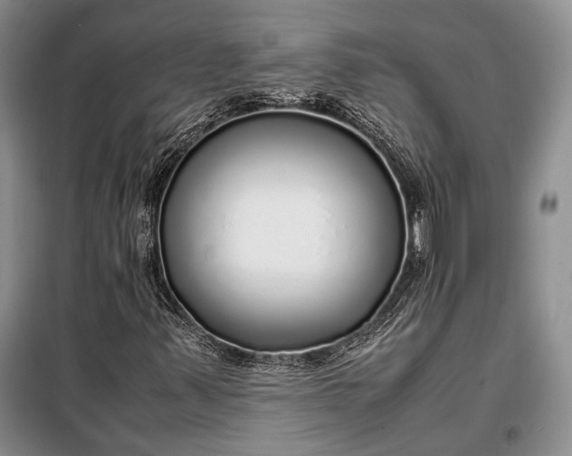 X0000098121347200804181509