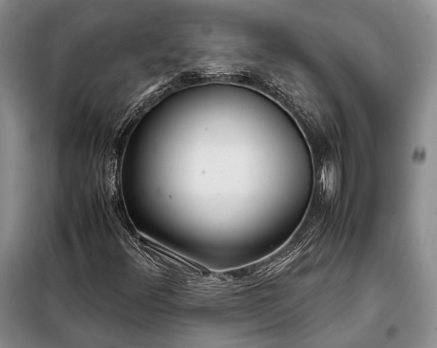 X0000098121348200804181509