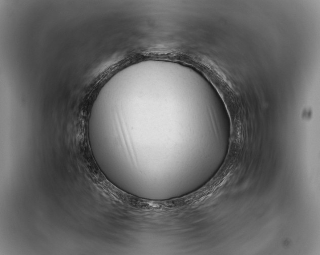 X0000098121350200804181509