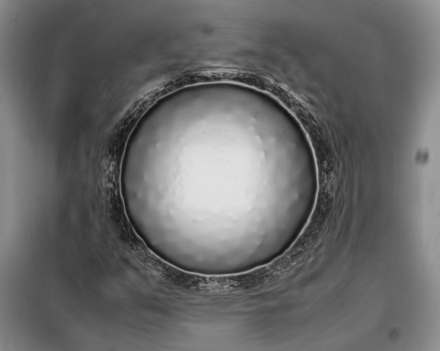 X0000098121351200804181509