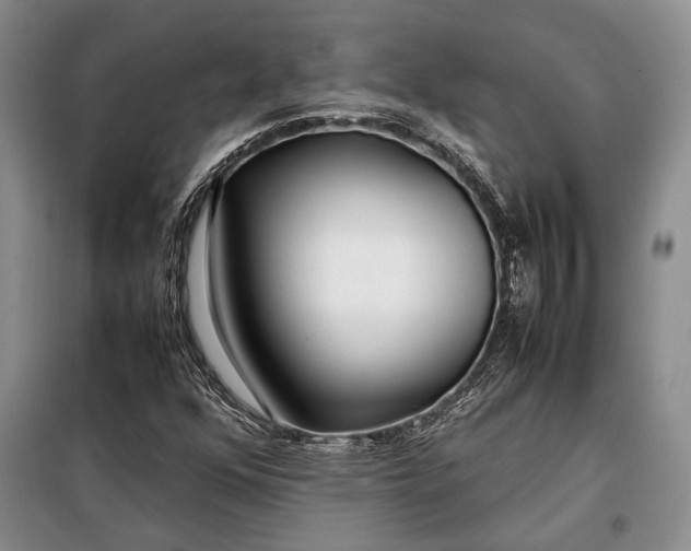 X0000098121352200804181509