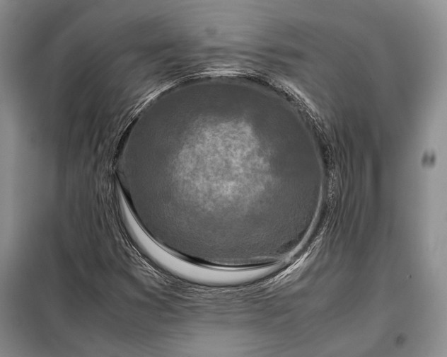 X0000098121353200804181509