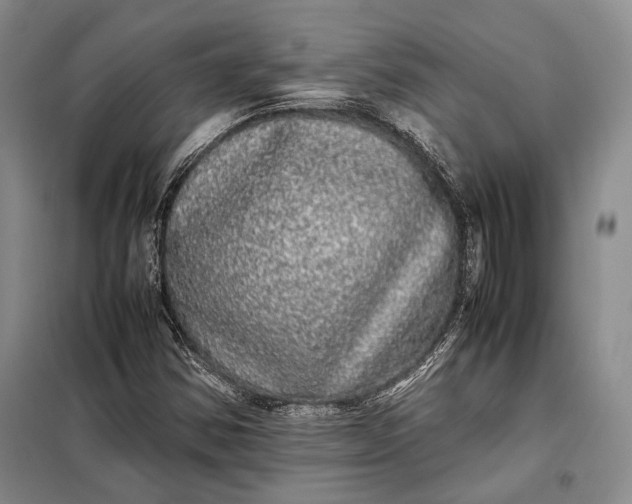 X0000098121354200804181508