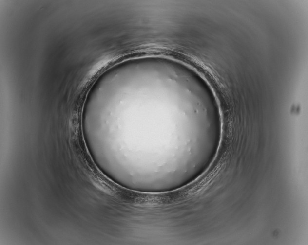 X0000098121355200804181508