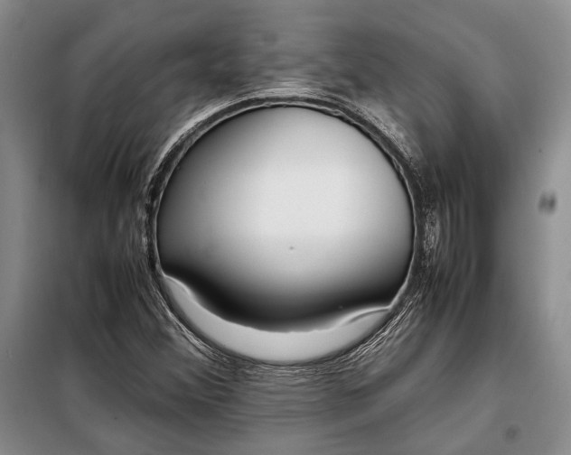 X0000098121356200804181508