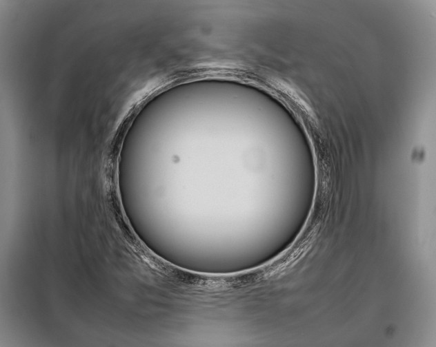 X0000098121357200804181508